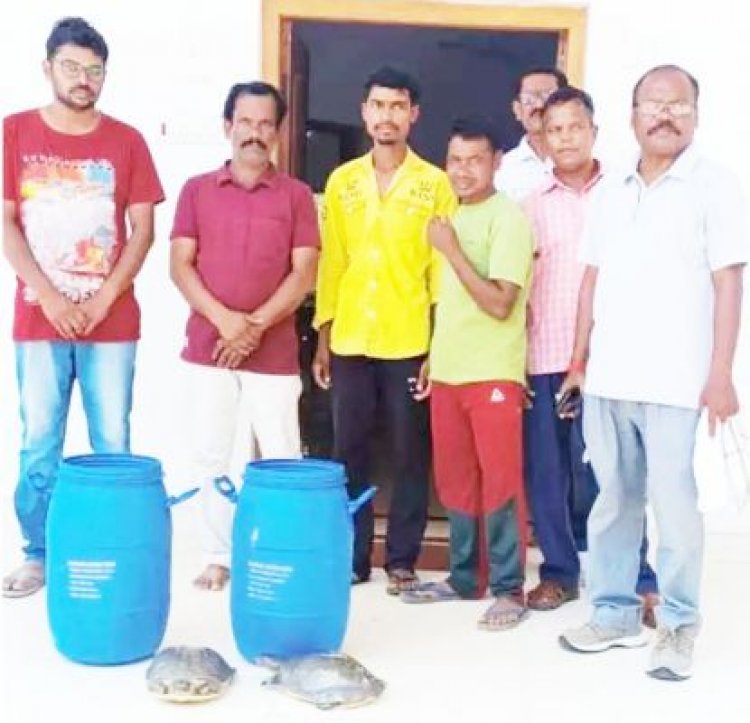 वन विभाग के अफसरों ने कछुआ तस्करों को दबोचा