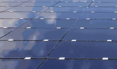 एलपीएल पांच टीमों का टूर्नामेंट रहेगा, आयोजकों को दाम्बुला थंडर्स के लिए नए मालिक की तलाश