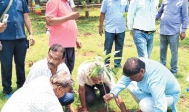 विश्व पर्यावरण दिवस पर वनमंत्री ने किया पौधरोपण