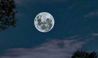 ज्येष्ठ पूर्णिमा पर होगी धन की वर्षा करें ये उपाय, चमक उठेगा भाग्य, हर काम में मिलेगी सफलता