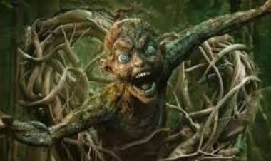 फिल्म मुंज्या ने पहले दिन बॉक्स ऑफिस पर कमाए 4.21 करोड़ रुपये