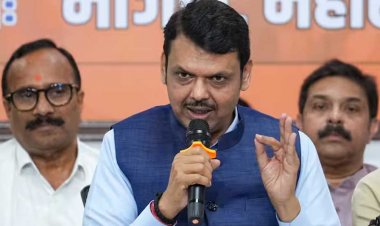 उद्धव को उनका वोट मिला जिनके लिए वे जनाब बालासाहब कहने लगे: फडणवीस