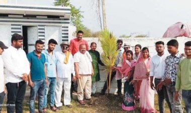 साहू समाज ने वृक्षारोपण कर मनाया विधायक का जन्मदिन