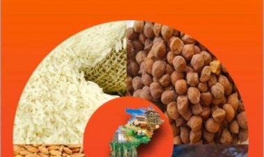 70 लाख राशन कार्डधारियों ने किया नवीनीकरण के लिए ऑनलाइन आवेदन