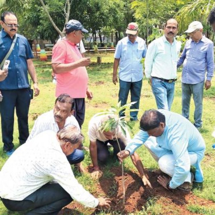 विश्व पर्यावरण दिवस पर वनमंत्री ने किया पौधरोपण