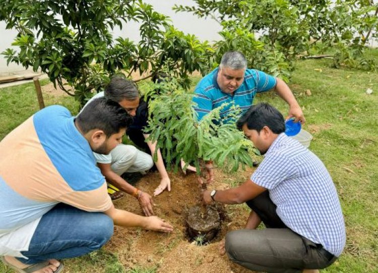 अंबिकापुर विधायक ने रोपे पौधे