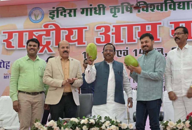 सेहत और अर्थव्यवस्था के लिए आम की फसल काफी महत्वपूर्ण : मंत्री नेताम