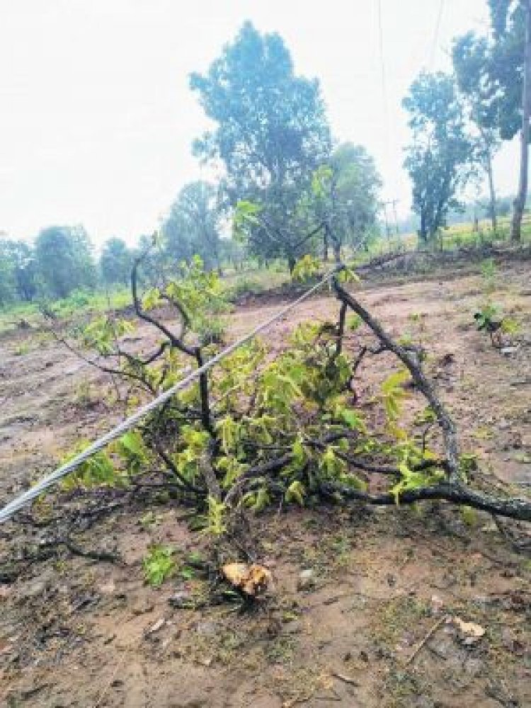 बाधित विद्युत आपूर्ति को कर्मियों ने किया बहाल