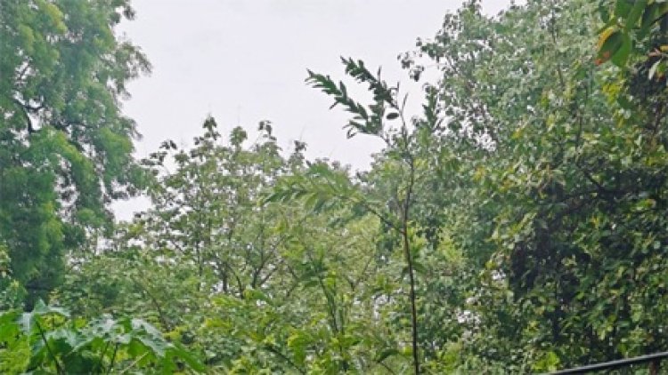 अब गरजेंगे बादल, मानसून की होगी झड़ीदार एंट्री