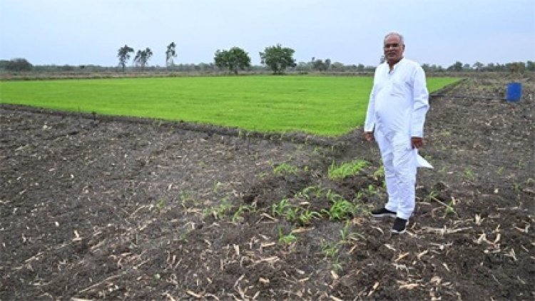 धान की खेती की तैयारियों का जायजा लेने पहुंचे पूर्व CM तो भाजपा ने कसा तंज