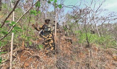 नारायणपुर में सुरक्षा बल ने नक्‍सलियों के खिलाफ चलाया बड़ा ऑपरेशन