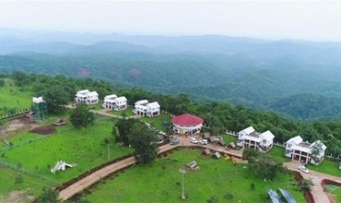 तितलियों के अद्भुत संसार में लीजिए प्रकृति के सान्निध्य का अविस्मरणीय अनुभव