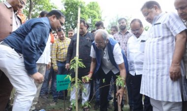 नरेय्या तालाब गार्डन में सांसद ने रोपा एक पेड़ माँ के नाम