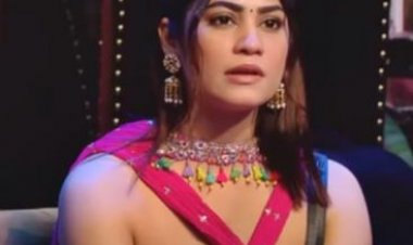 'बिग बॉस ओटीटी 3': विशाल के कमेंट पर कृतिका मलिक ने किया रिएक्ट, कहा- 'मैं घर जाना चाहती हूं'