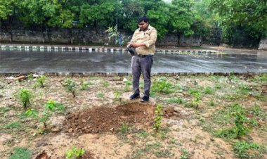 नई दिल्ली में ‘एक पेड़ माँ के नाम’ अभियान के तहत छत्तीसगढ़ जनसंपर्क विभाग का वृक्षारोपण