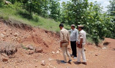 शहर से सटे रामपुर पहाड़ी में दो हाथियों ने दी दस्तक