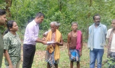 जंगल गई महिला को हाथियों ने कुचल कर मारा, ग्रामीण ने भाग कर बचाई जान