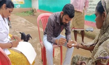 तेज रफ्तार से फैल रहा बिलासपुर में मलेरिया