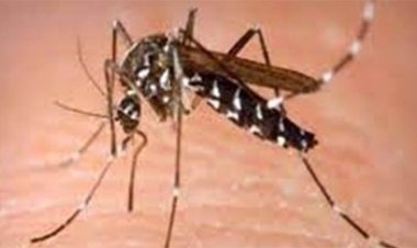 लगातार मिल रहे मलेरिया के मरीज, बिलासपुर कोटा में बिगड़ रही स्थिति