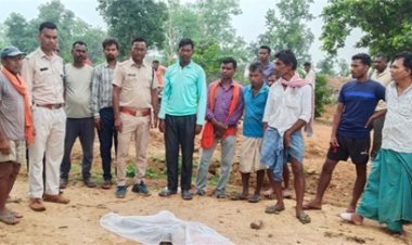 दो ग्रामीणों पर हाथी ने किया हमला, एक की मौत