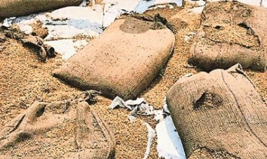 गरीबों का राशन लापरवाही की भेंट चढ़ा