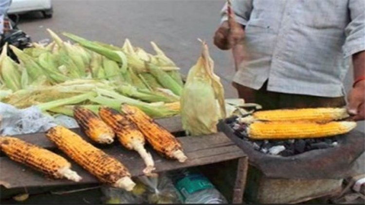 इन दिनों बिलासपुर शहर में भुने भुट्टे की बहार