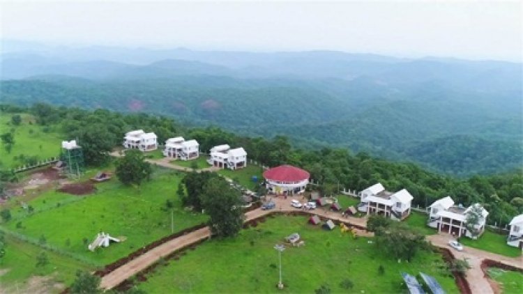 तितलियों के अद्भुत संसार में लीजिए प्रकृति के सान्निध्य का अविस्मरणीय अनुभव