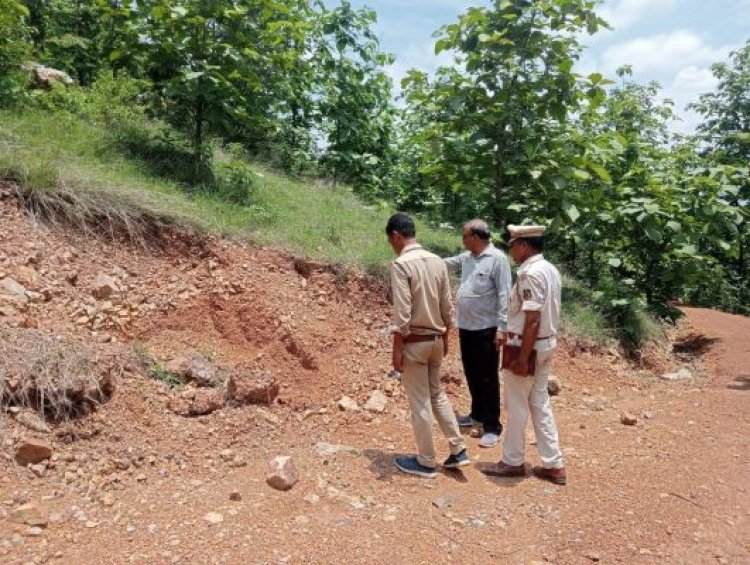 शहर से सटे रामपुर पहाड़ी में दो हाथियों ने दी दस्तक