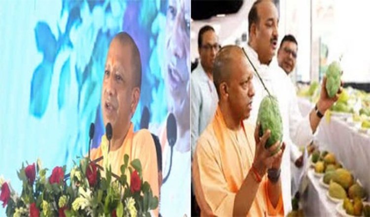 जापान और मलेशिया को 40 टन आम निर्यात करेगा उत्तर प्रदेश: योगी