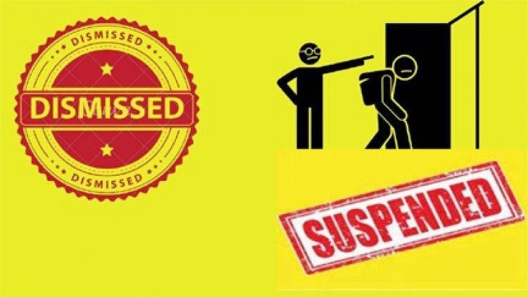 बिलासपुर कलेक्टर की बड़ी कार्रवाई