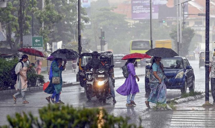 केरल में जोरदार भारी बारिश में खेत लबालब, कई जगह लैंडस्लाइड, 300 घर तबाह, IMD ने आज भी किया अलर्ट