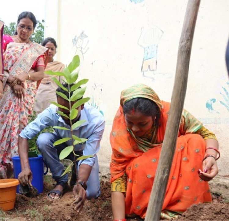 महिला एवं बाल विकास मंत्री लक्ष्मी राजवाड़े ने किया पौधारोपण