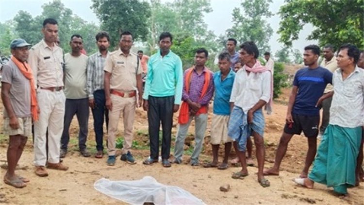 दो ग्रामीणों पर हाथी ने किया हमला, एक की मौत