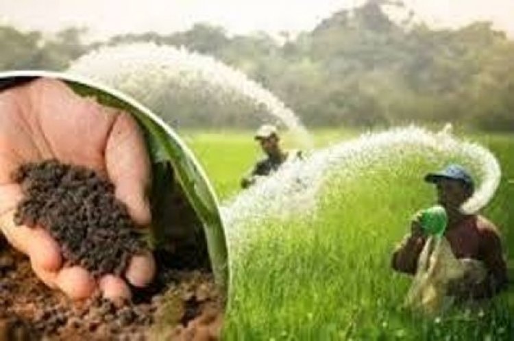 किसानों को लक्ष्य का 80 प्रतिशत रासायनिक खाद वितरित