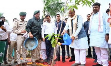 मुख्यमंत्री ने आम का पौधा रोपकर बस्तर ज़िले में की एक पेड़ माँ के नाम महावृक्षारोपण अभियान की शुरुआत