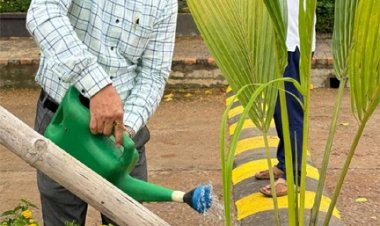 ‘एक पेड़ माँ के नाम‘: योजना एवं नीति सलाहकार डॉ. धीरेन्द्र तिवारी ने किया पौधरोपण