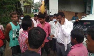 निजी समिति द्वारा बनाए बाड़े में हुई 14 पशुओं की मौत