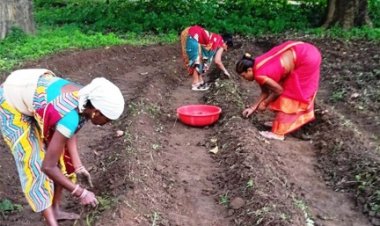 बिहान समूह की दीदियां हल्दी की खेती की ओर बढ़ रही आगे