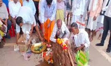 विश्व प्रसिद्ध दशहरा पर्व का प्रथम विधान पाट जात्रा कार्यकम 4 अगस्त को