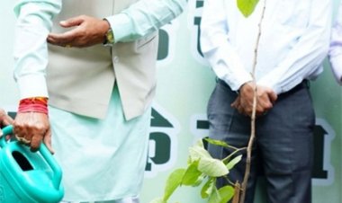 आइए इस हरेली धरती माँ का श्रृंगार करें, एक पेड़ मां के नाम लगाएं