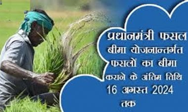 16 अगस्त 2024 तक करा सकते है प्रधानमंत्री फसल बीमा योजनान्तर्गत फसलों का बीमा