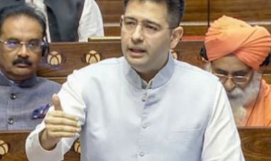 राघव चड्ढा ने अमृतसर से वाया लाहौर श्री ननकाना साहिब तक सेफ पैसेज की मांग की
