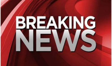 मुख्यमंत्री डॉ. यादव ने ग्वालियर चिड़ियाघर में तीन शावकों के जन्म लेने पर बधाई दी