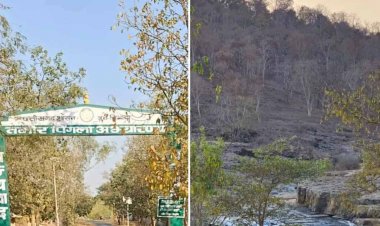 साय सरकार ने गुरु घासीदास- तमोर पिंगला को टाइगर रिजर्व के रूप में किया अधिसूचित