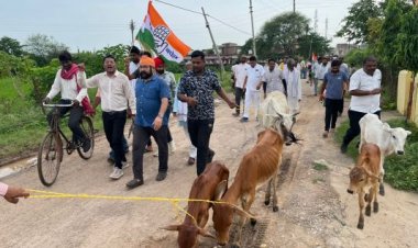 कांग्रेस का गौ सत्याग्रह
