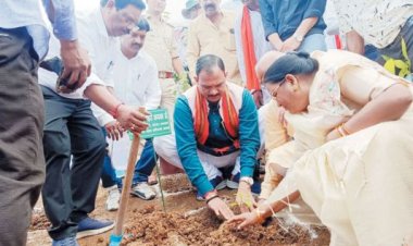 स्वास्थ्य मंत्री ने मियावाकी पद्धति से किया वन महोत्सव का शुभारंभ