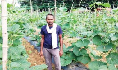 मल्चिंग विधि से खेती से बम्पर पैदावार, घर की आर्थिक स्थिति में सुधार