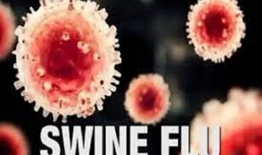 स्वाइन-फ्लू के इलाज के लिए अस्पतालों में पुख्ता इंतजाम