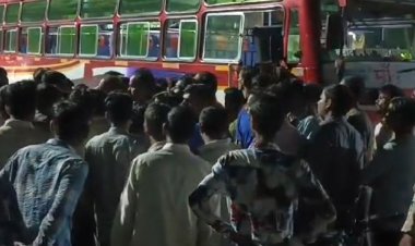 यात्री बस ने गोवंश को रौंदा:गौ सेवकों ने पुलिस को दी सूचना, ड्राइवर फरार, बस जब्त