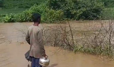 बैडारी पंचायत का फूटा तालाब:पार फूटी या फोड़ी गई जांच में जुटे एसडीएम, 1000 बीघा के खेत होते थे सिंचित